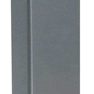 Filler Plate Finish: Silver Coat